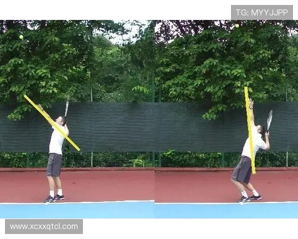 网球运动的魅力与挑战：从技术细节到心理素质的全面剖析