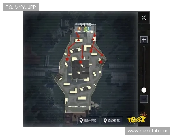 和平精英战术解析：深入探讨WE战队的防守与反击策略