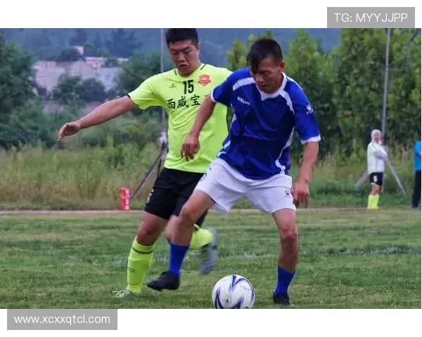 深圳足球队强势崛起荣登足球状态排行榜第三名