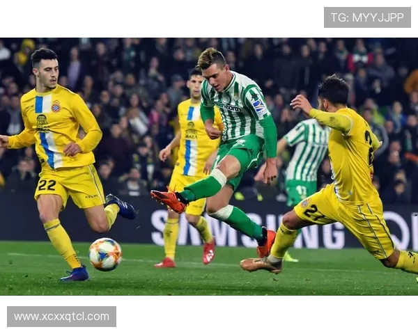 马德里竞技崛起之路：从逆境中走出的西甲豪门传奇