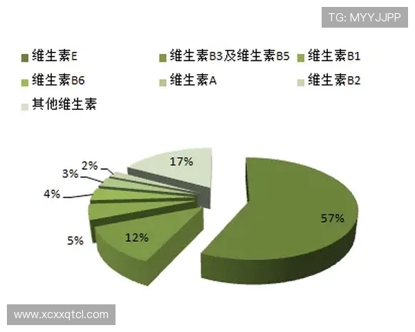 全球足球俱乐部发展趋势与未来战略布局深度观察报告蓝图前瞻分析